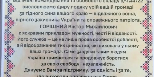 tulchin.online