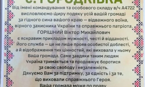 tulchin.online
