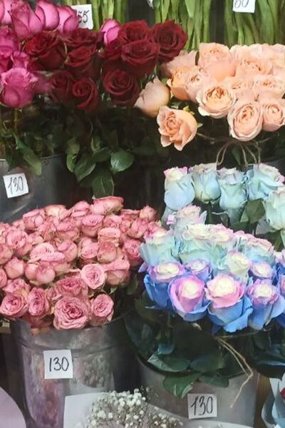 Тульчин Онлайн