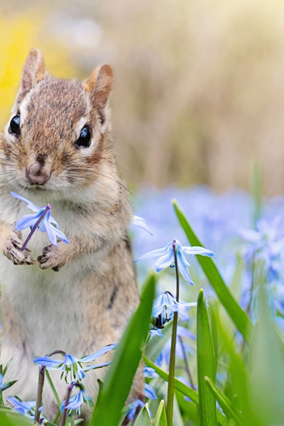 Тульчин Онлайн