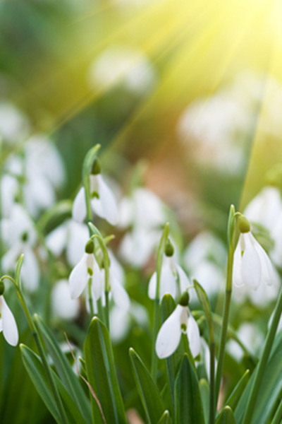 Тульчин Онлайн