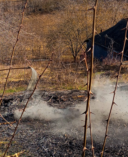 Тульчин Онлайн