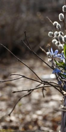 Тульчин Онлайн