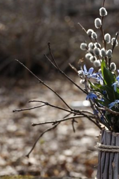 Тульчин Онлайн