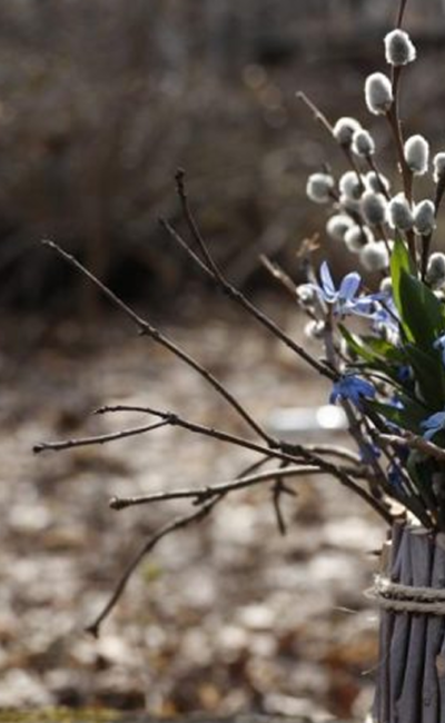 Тульчин Онлайн