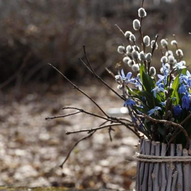 Тульчин Онлайн
