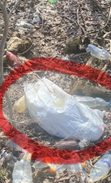 Тульчин Онлайн