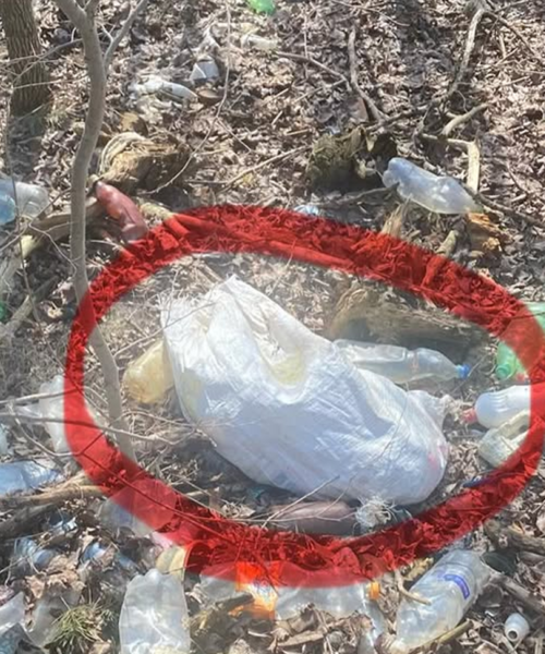 Тульчин Онлайн