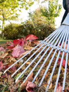 Тульчин Онлайн