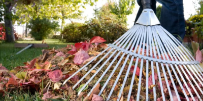 Тульчин Онлайн