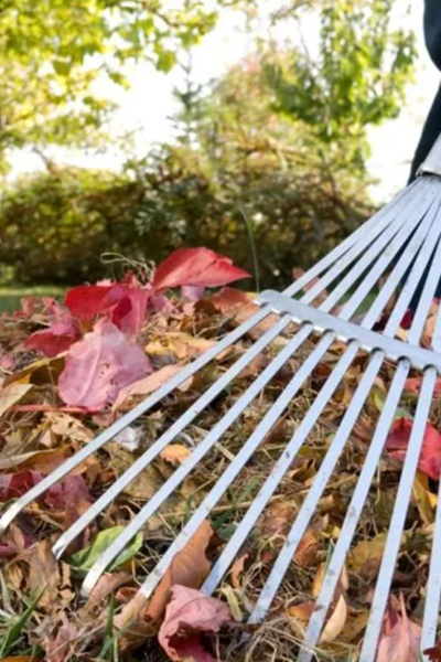 Тульчин Онлайн