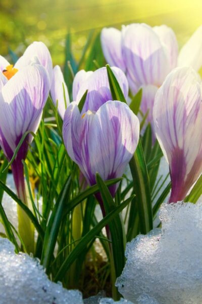 Тульчин Онлайн