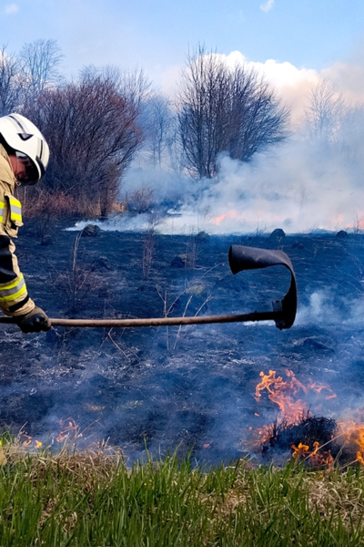 Тульчин Онлайн