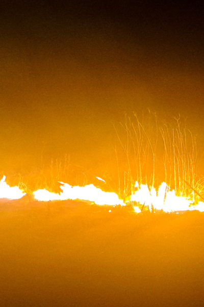 Тульчин Онлайн