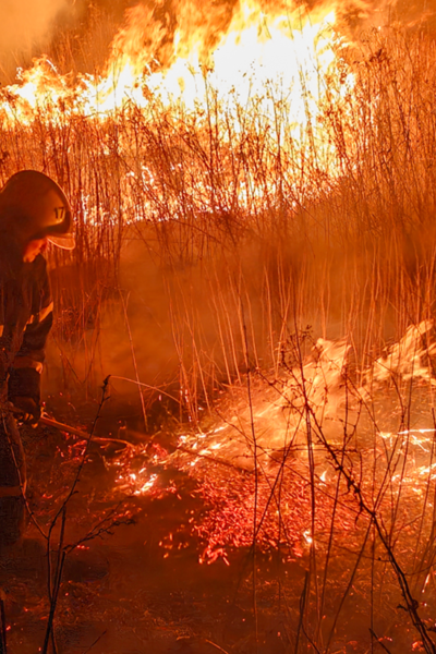 Тульчин Онлайн