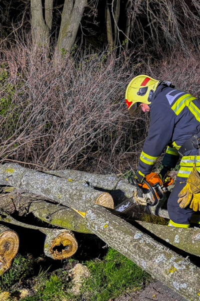 Тульчин Онлайн