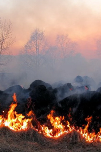 Тульчин Онлайн