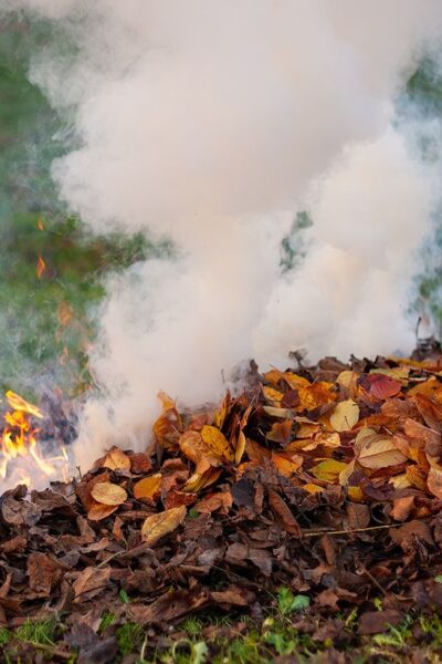 Тульчин Онлайн